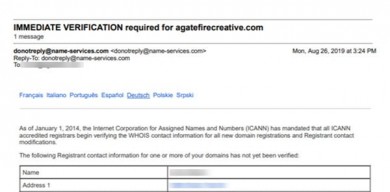 IMMEDIATE-VERIFICATION-required-for-domain-not-scam-1